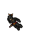 Assassin