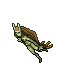 Nymph
